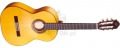 Klasyczna gitara hiszpańska Flamenco R270F z pokrowcem