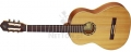 Leworęczna Ortega Family PRO R131L gitara klasyczna 4/4 z pokrow