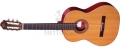 Leworęczna hiszpańska gitara klasyczna R200L z pokrowcem